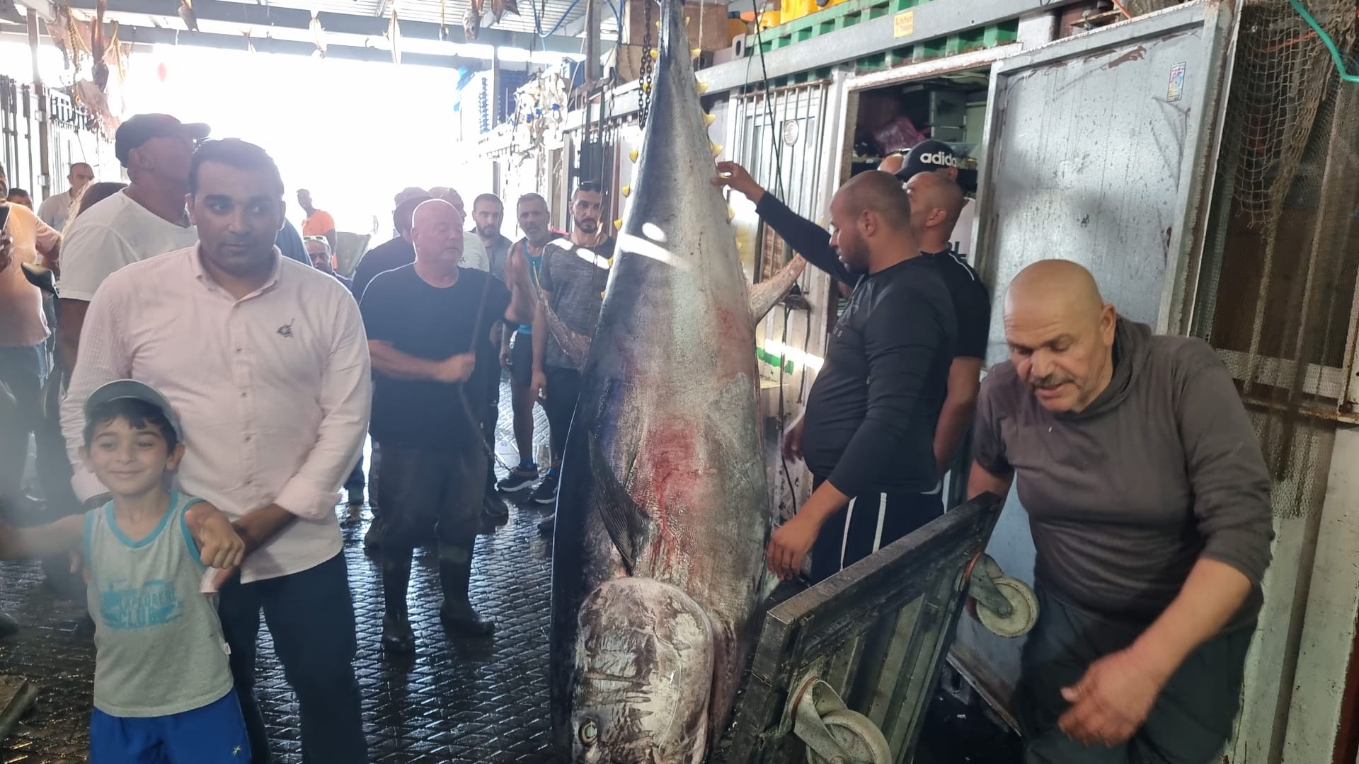 WhatsApp Image 2022-06-10 at 5.41.37 PM.jpeg